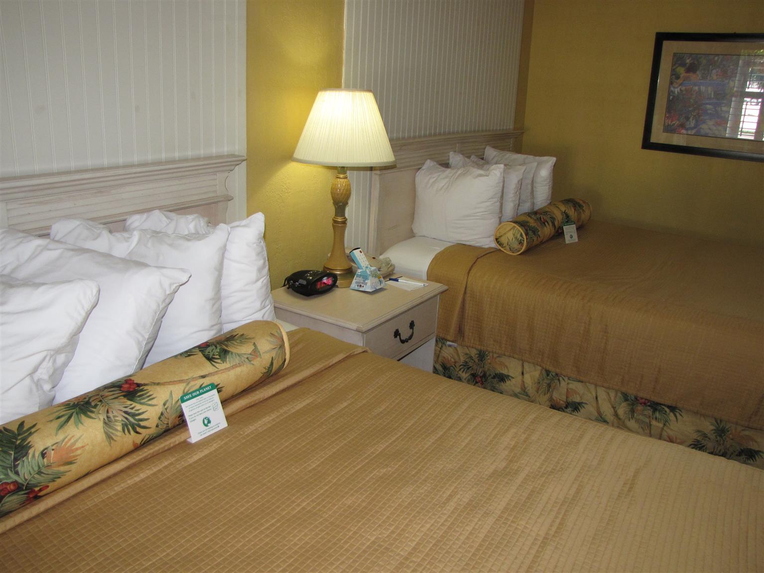 Best Western Hibiscus Motel Key West Værelse billede